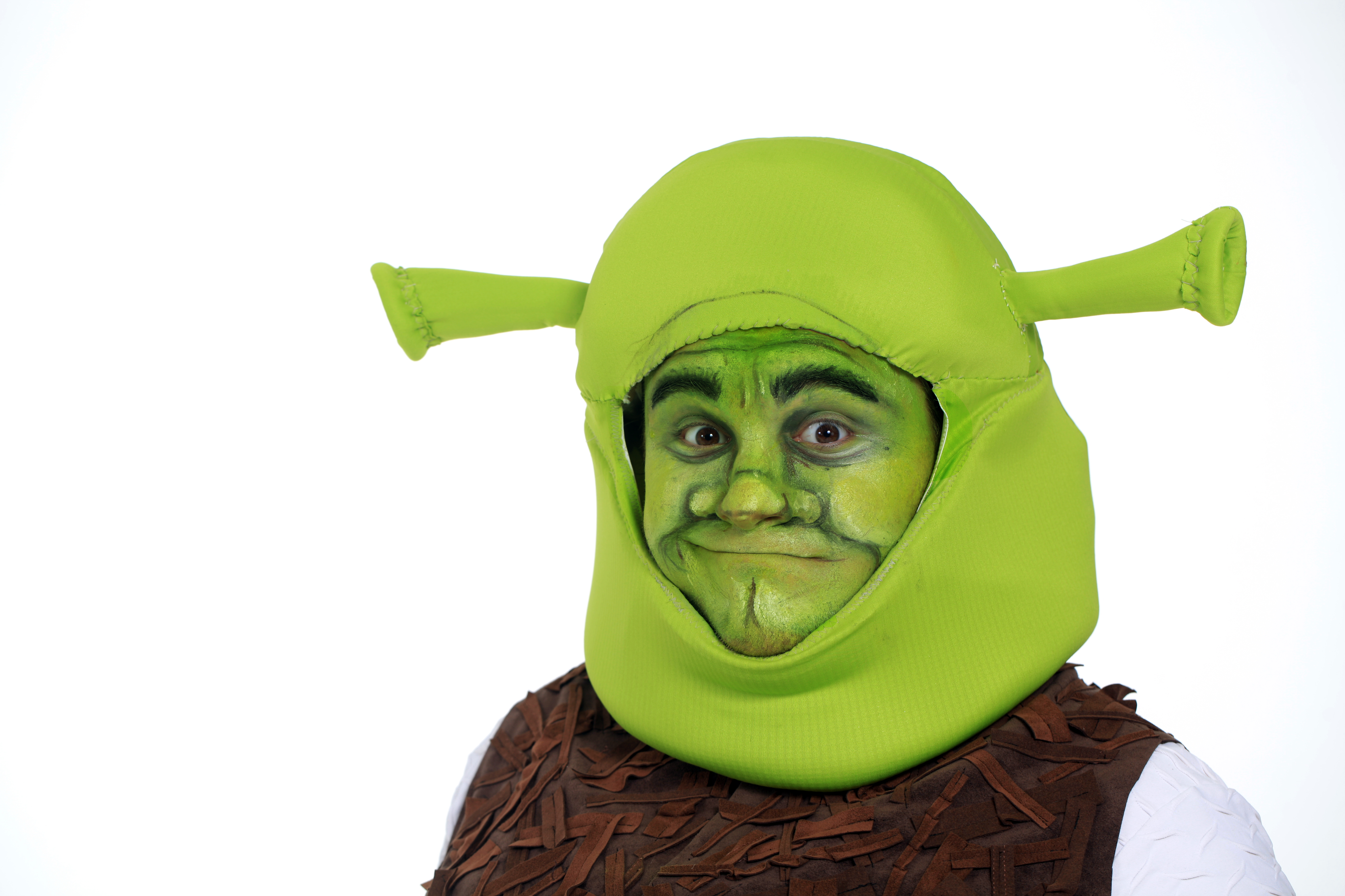 Shrek The Musical' to... 